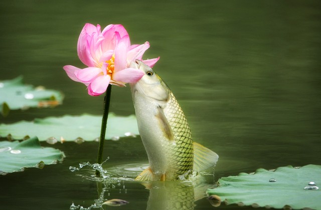 1765346267132882.jpeg f0b1a748679a4faab76b97668cc5265a_tplv-tt-origin-web_gif.jpeg